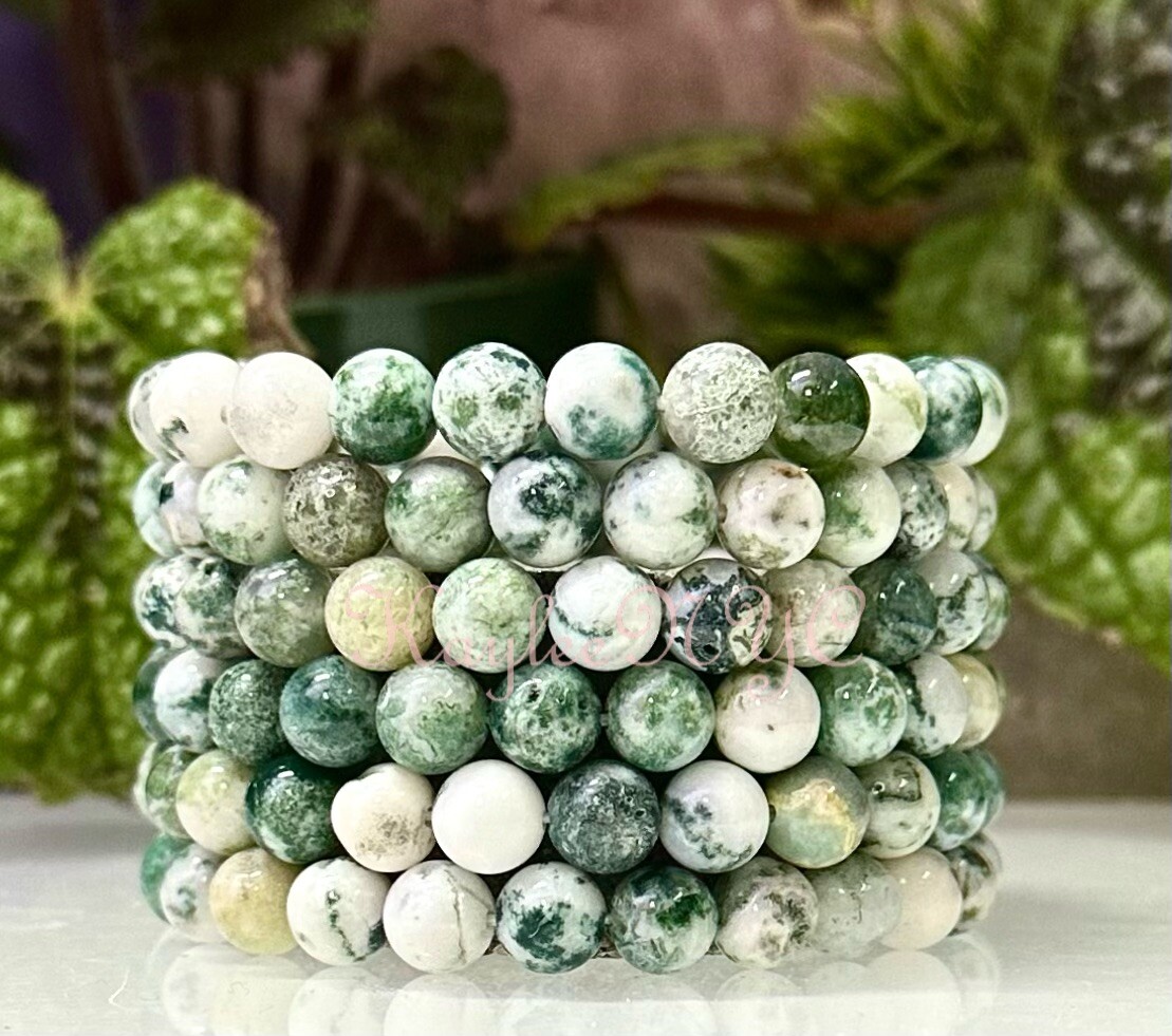 Wholesale Lot 6 Pcs Natural Tree Agate 8mm 7.5” Crystal Healing Stretch Bracelet