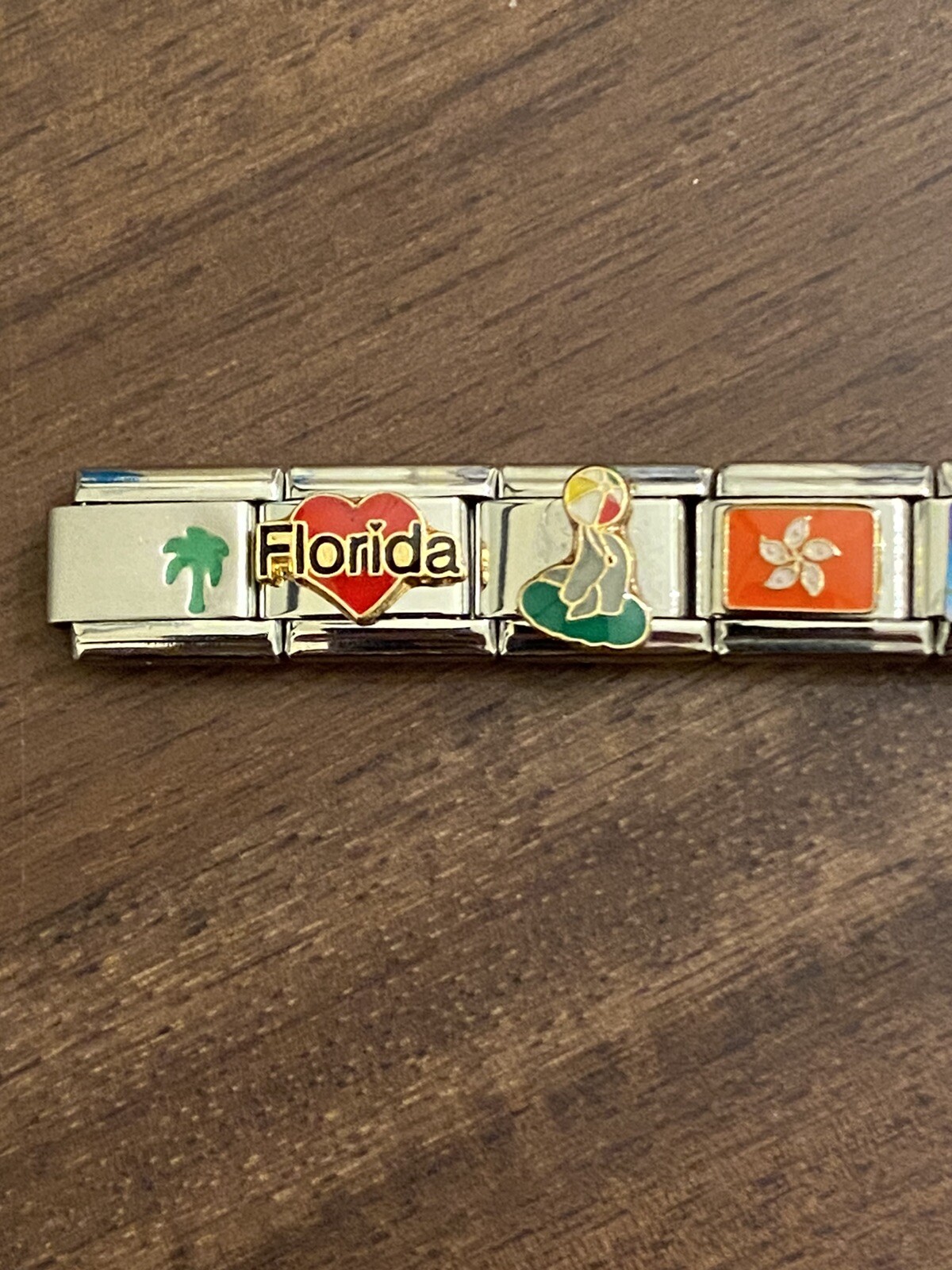 20 Charm Florida / Tropical- Italian Charm Bracelet New