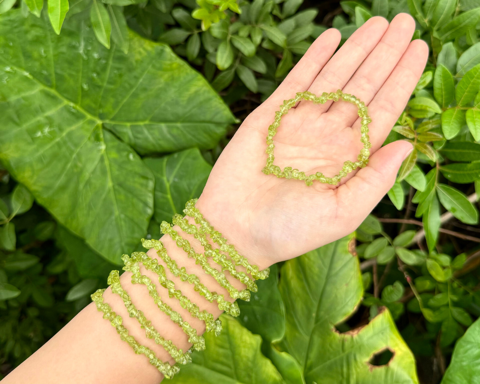 Peridot Chip Bracelet, Stretch: Raw Natural Peridot Crystals (US SELLER)