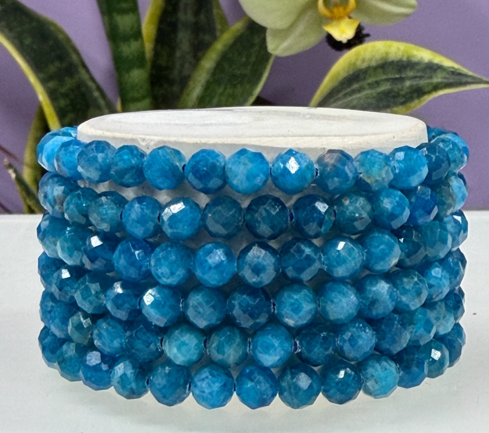 Wholesale 6 Pcs Natural Apatite 6mm Faceted 7.5” Stretch Bracelet