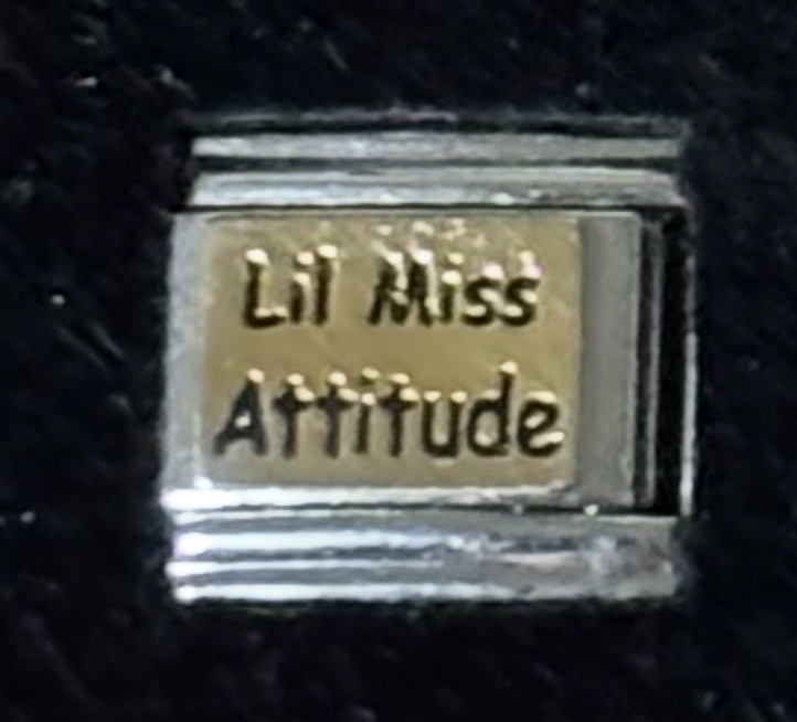 Lil Miss Attitude Wholesale Italian Charm Enamel 9mm Link K20