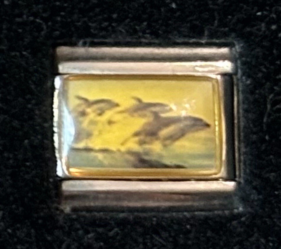 Dolphins Wholesale Italian Charm Photo Enamel Link 9MM K2016 – 2 Style FD