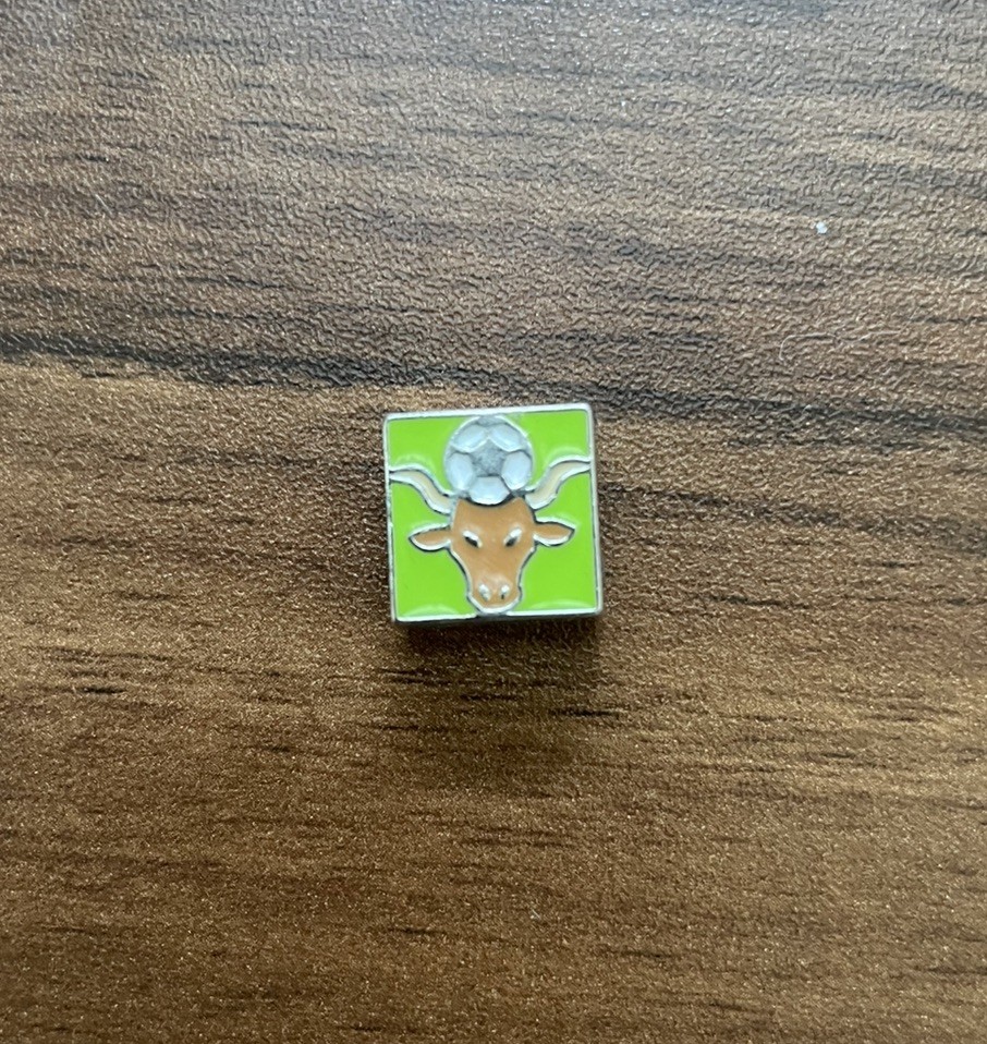 FIFA 2026 World Cup Bank of America Dallas Longhorn Bull Individual Charm Texas