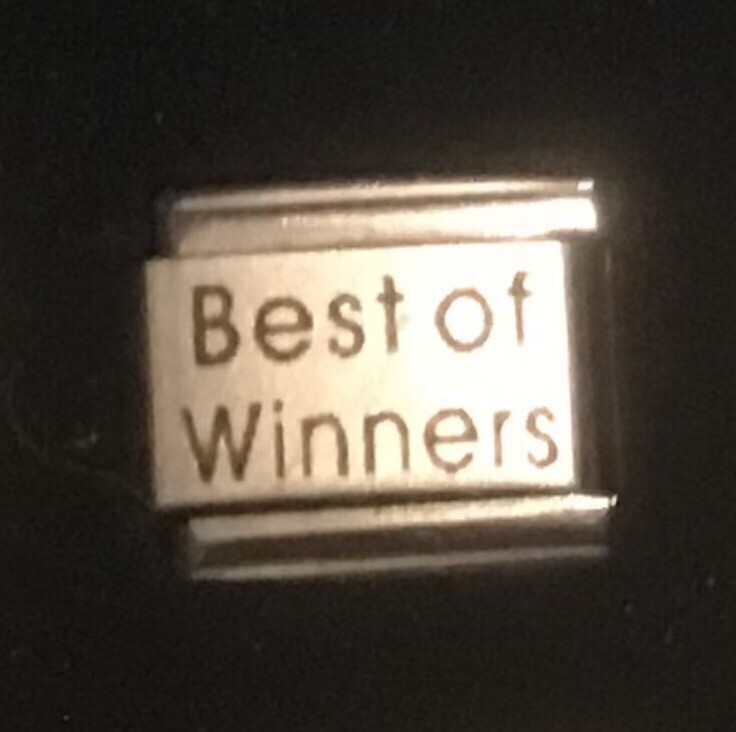 Best Of Winners Laser Italian Charm Link 9MM K19