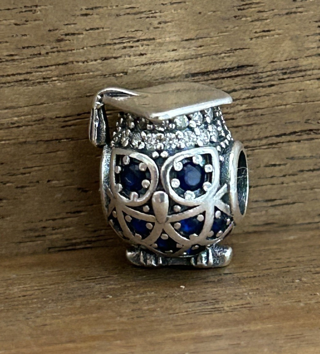 S925 Sterling Silver Blue Owl Charm Cute Gift Pendant Animal