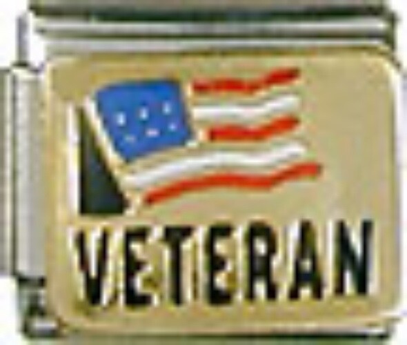 VETERAN ITALIAN CHARM BRACELET LINK 9MM STAINLESS STEEL