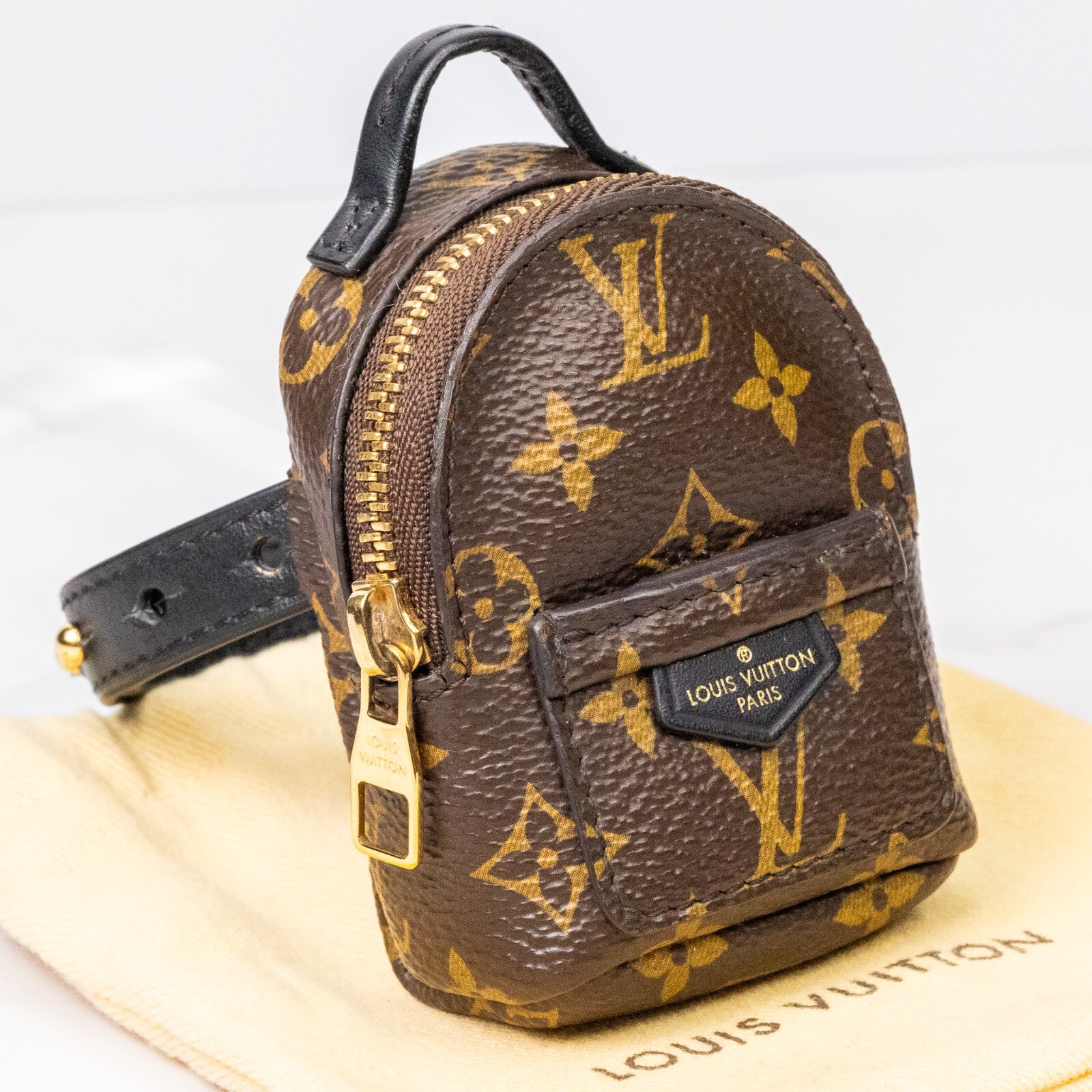 LOUIS VUITTON Bracelet Party Palm Springs M6563A Monogram Backpack Auth [S]