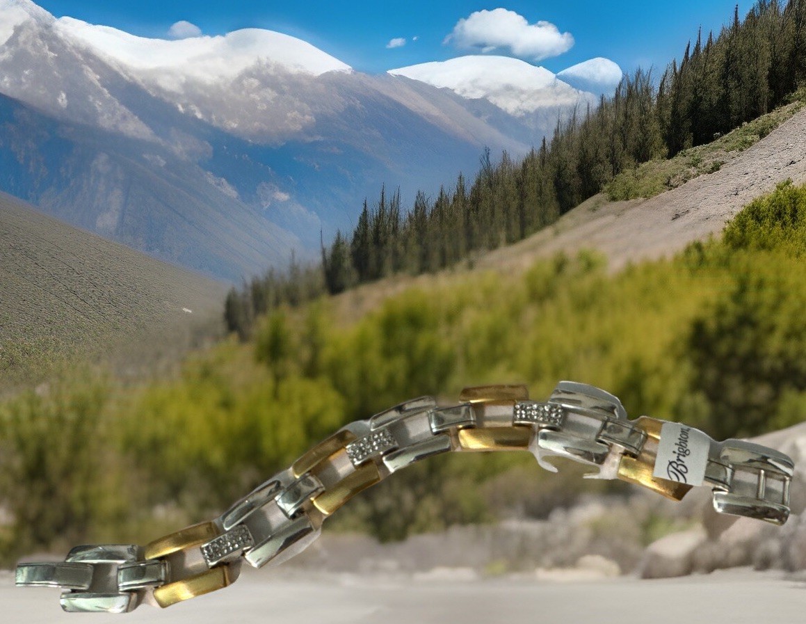 Brighton MERIDIAN LINK Bracelet MSRP $88 NWT Rare Find!