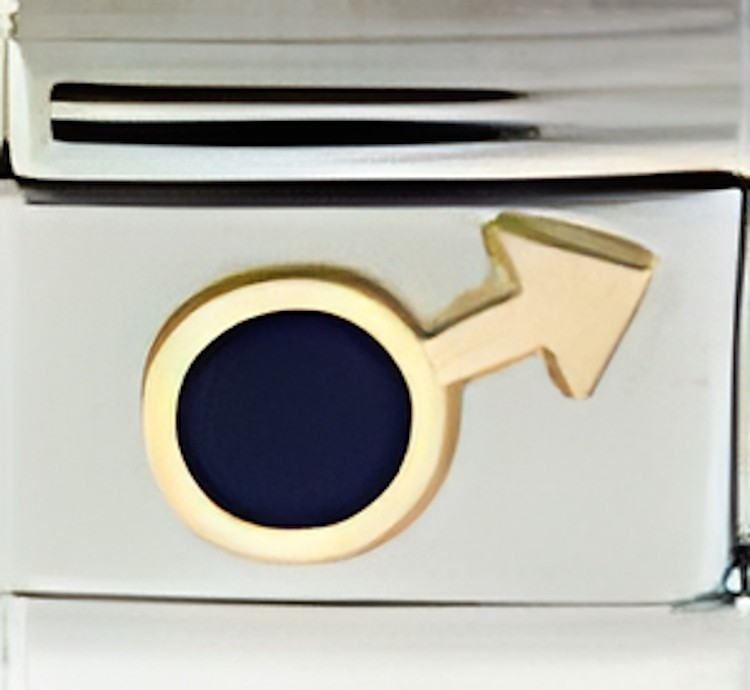 Blue Male Gender Symbol Enamel Italian Charm 9mm Bracelet Link Mars Sign