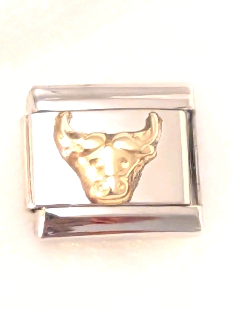 Authentic My Name Taurus Bull Zodiac Italian Charm 9mm B116