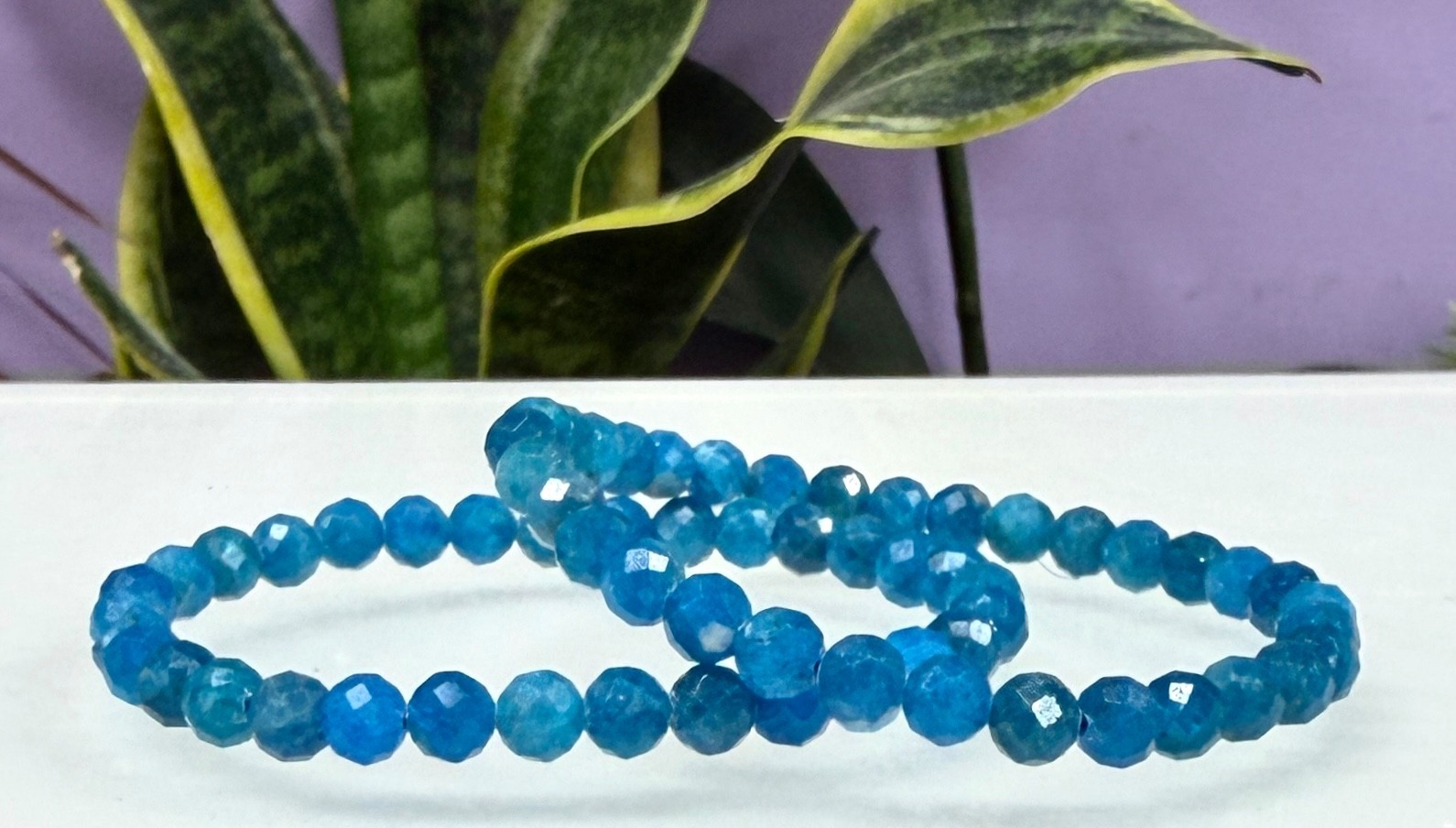 Wholesale 6 Pcs Natural Apatite 6mm Faceted 7.5” Stretch Bracelet
